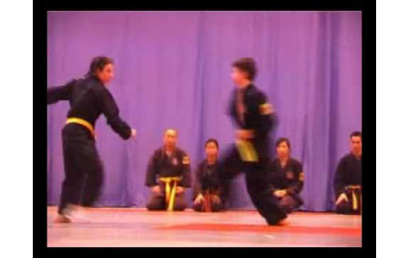 Hau Quyen Vietnamese Martial Art Viet Vo Dao 